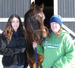 Lotawana is being fostered by two Georgetown College Equine Scholars