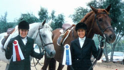 Life with Horses - In Search of Happy Endings Life with Horses - In Search of Happy Endings
