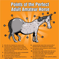 Amateur Horse