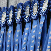 Blue ribbons