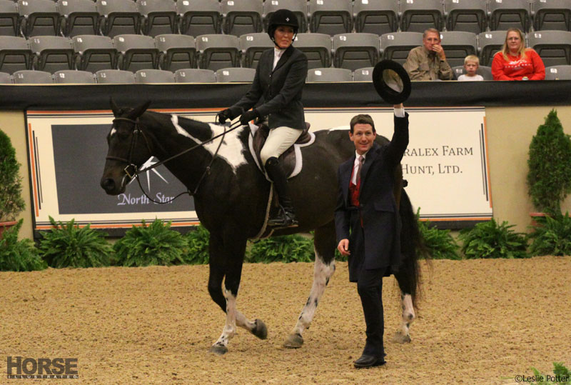 Multi-breed challenge at the Alltech National Horse Show