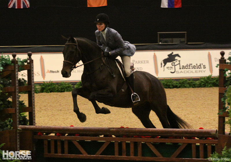 Multi-breed challenge at the Alltech National Horse Show