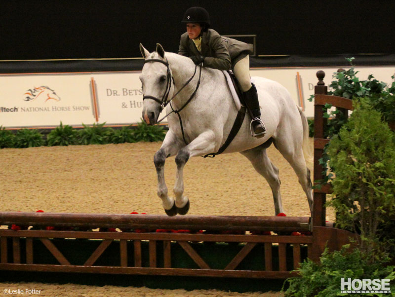 Multi-breed challenge at the Alltech National Horse Show