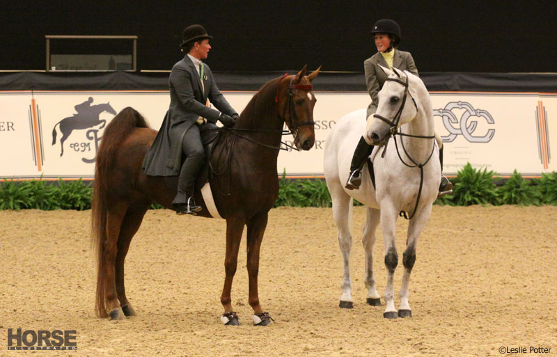 Multi-breed challenge at the Alltech National Horse Show