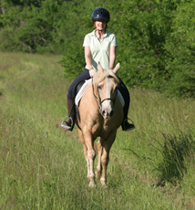 The Near Side - Trail Riding at Shaker Village