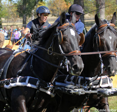 Cindy O'Reilly and her team of mares