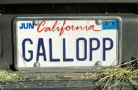 Gallopp license plate