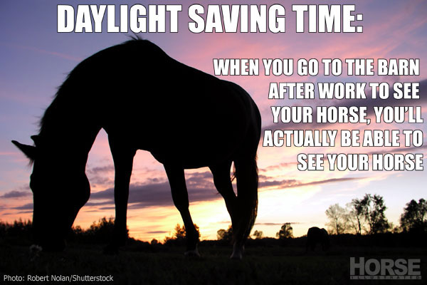 Daylight Saving Time