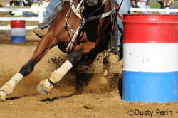 Barrel racer close up