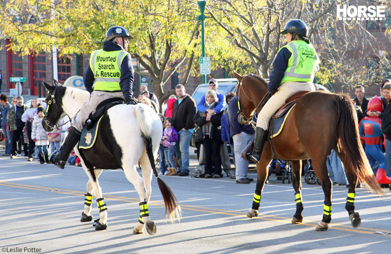 Festival of the Horse