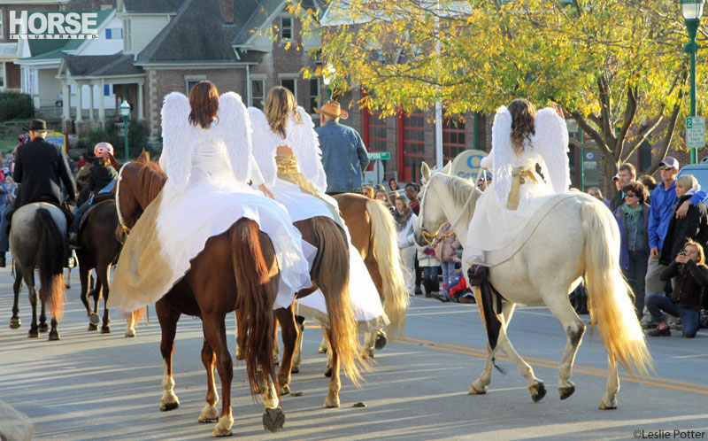 Festival of the Horse