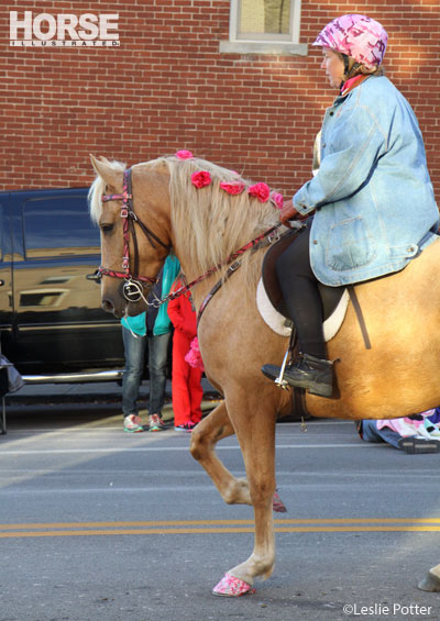 Festival of the Horse