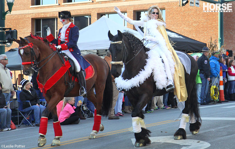 Festival of the Horse