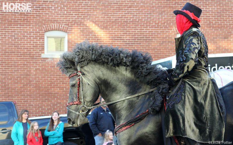 Festival of the Horse