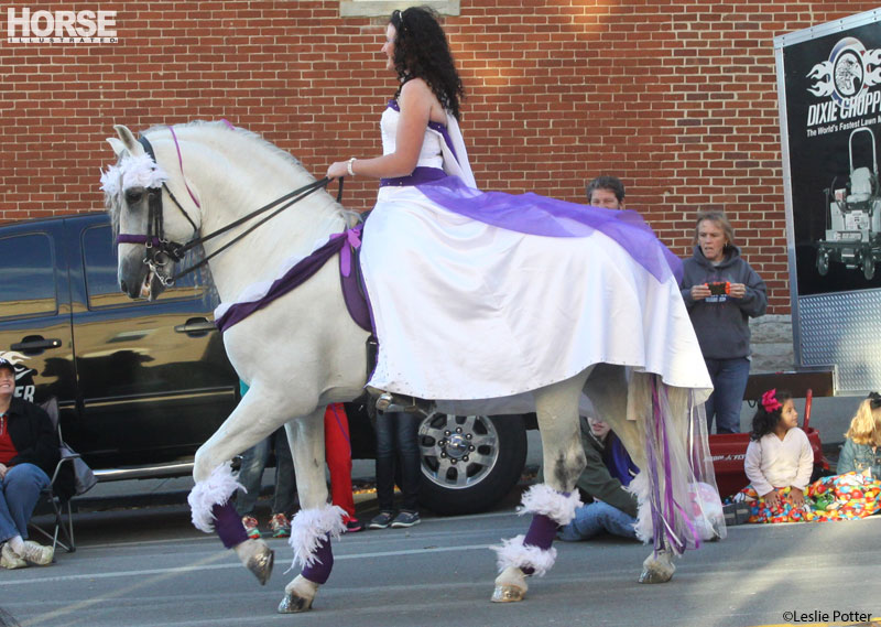 Festival of the Horse