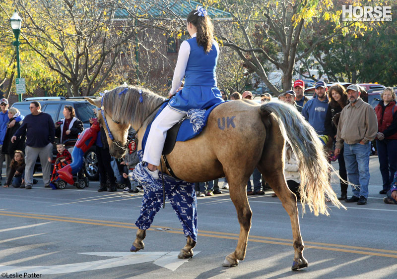 Festival of the Horse