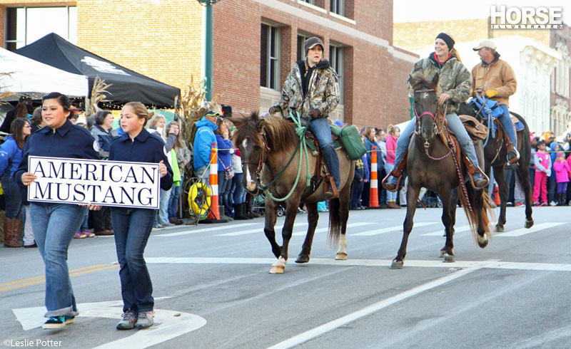 Festival of the Horse