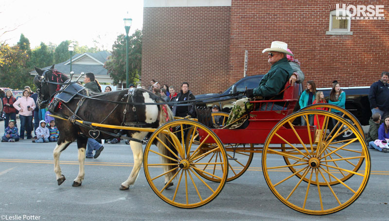 Festival of the Horse