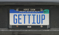 Gettiup license plate