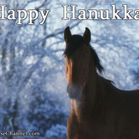 Hanukkah horse