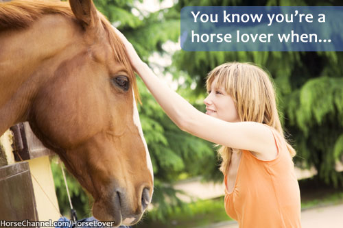 Horse Lover