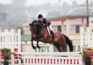 Life with Horses - A Look at Old Horse Photos