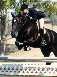 Life with Horses - A Look at Old Horse Photos