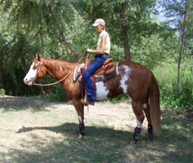 Life with Horses - Water Baby