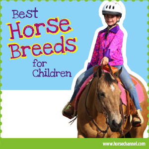 Best Horse Breeds for Kids - Horse Illustrated