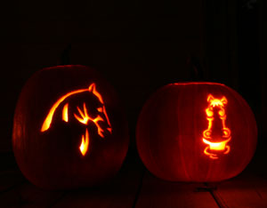 Horse pumpkin carvings