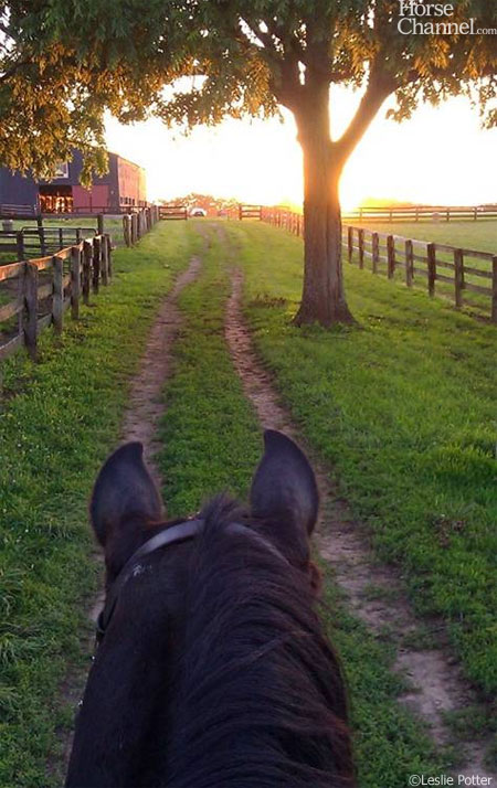 Solstice Ride