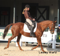 Lauren Barwick was a competitor at the 2010 WEGs despite being paralyzed from the waist down after an accident