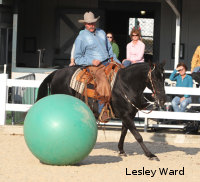 Pat Parelli, equine extraordinaire, was a great showman at the 2010 WEGs