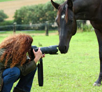 2009 Spirit of the Horse Photo Contest