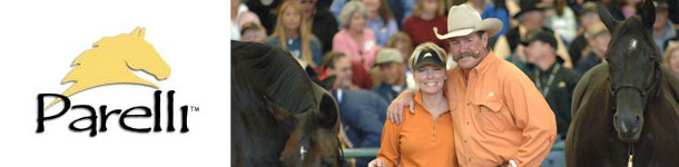 Parelli Natural Horsemanship