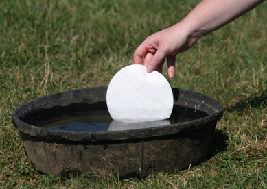 Soaking a poultice pad in hot water