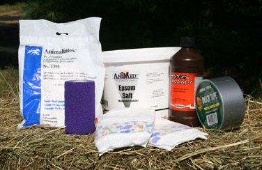 The products you'll need to help treat your horse's hoof abscess