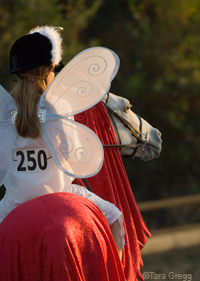 Horse show costume classes can be great ways to bond with your horse