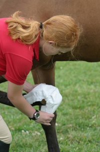 Use a diaper to cover the unprotected hoof, placing the padding over most of the hoof