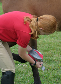 Use duct tape to firmly secure the daiper around the hoof and to provide extra durability