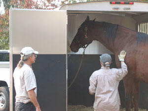 R Hay and Grain was greatly helpful when they sent a trailer for Micaela's horses