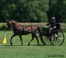 Carriage driving obstacles