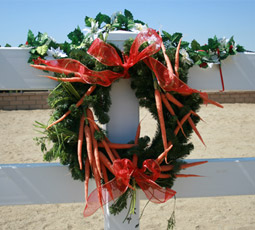 Carrot wreaths are great holiday snacks for your horses