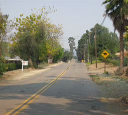 This is the road the author took to get her horses to safety