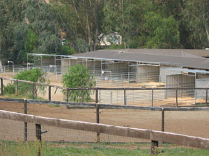 The empty stables where the author lived