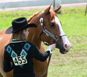 Horse showing