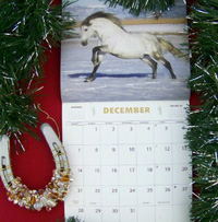 Send a holiday snapshot with your favorite equine friend to your friends and family