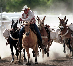 The annual Bishop Mule Days Celebration has taken place the week of every Memorial Day since 1969