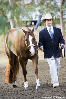 Tips on improving your showmanship abilities