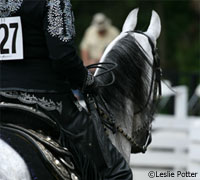 Tips on how to survive a horse show